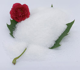 Polyacrylamide ປະເພດໃດທີ່ມີປະສິດທິພາບຫຼາຍຂຶ້ນ ສໍາ ລັບການປິ່ນປົວນ້ ໍາ ເສຍລ້າງລົດ?