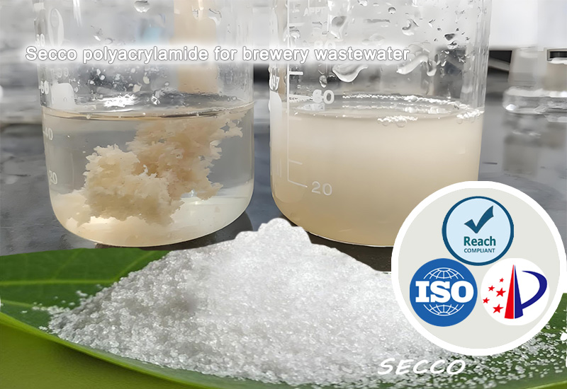 ການເລືອກແລະປະສິດທິພາບຂອງ Polyacrylamide (PAM) ໃນການປິ່ນປົວນ້ ໍາ ເສຍຂອງໂຮງງານຜະລິດເບຍ
